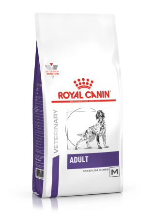 Adult (Medium Dogs)